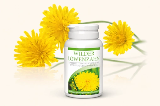 Wilder Löwenzahn